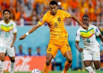 Le premier choc de l'histoire entre le Sénégal et les Pays-Bas le lundi 21 novembre 2022, a tenu ses promesses