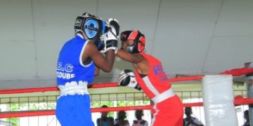 championnat national des élites amateurs saison 2022 de boxe