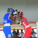championnat national des élites amateurs saison 2022 de boxe