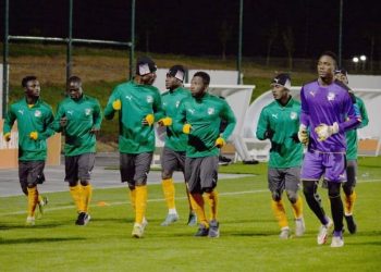 Les Éléphants locaux