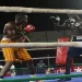 Fédération Ivoirienne de Boxe