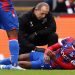 Wilfried Zaha