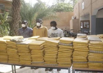 Cannabis saisis entre la frontière du Bénin et le Nigeria