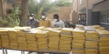 Cannabis saisis entre la frontière du Bénin et le Nigeria