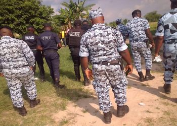 L’opération Épervier 6