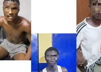 Des présumés bagarreurs arrêtés