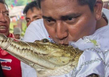 Le maire de San Pedro Huamelula épouse une femelle caïman