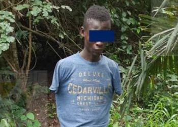 Un présumé auteur d’homicide volontaire d’un garçonnet arrêté