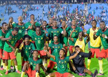 Le Cameroun écarte le Niger