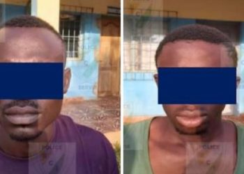 Deux présumés assassins