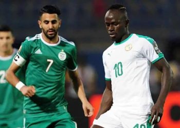 le Sénégal s'incline face à l'Algérie
