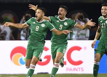 les Fennecs d'Algérie