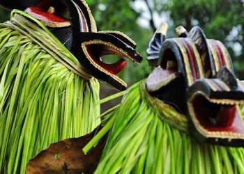 Un nouvel Institut dédié au Goli bientôt à Béoumi