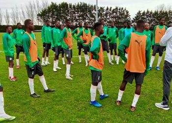 Les Eléphanteaux surprennent l’Argentine à Montaigu