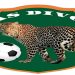 Les Panthères de l'AS Divo en Ligue 2