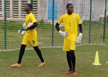 Les Éléphanteaux se préparent pour