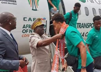 L’arrivée des Éléphants