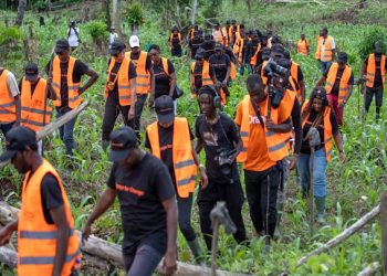Journée internationale de l’environnement