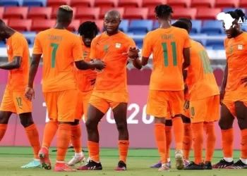 Les éléphants de Côte d’Ivoire