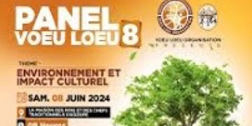 La 8ème édition du Voeu Loeu Festival