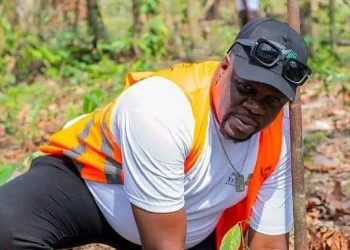 La Fondation Yodé et Siro et MANSA BANK reboisent