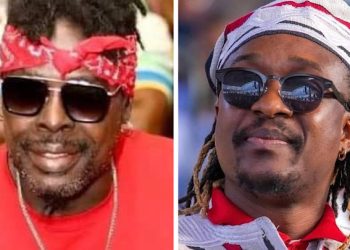 Petit Denis à propos de l’hommage du groupe Révolution