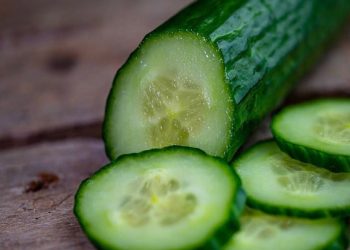 pénurie de concombres en Islande