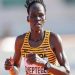 Rebecca Cheptegei