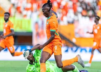 Les Éléphants dominent les Étalons