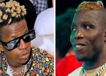 DJ Congélateur et Bébé sans OS de Man