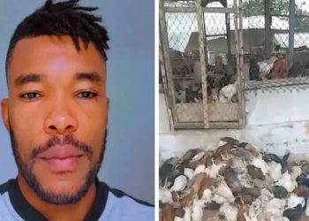 Serey Dié face aux défis de l’élevage