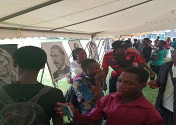 L’Afrique en lumière