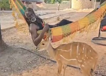 Tiken Jah Fakoly a annoncé le mardi 20 mai 2025 la disparition ou le vol de Bambi Rasta