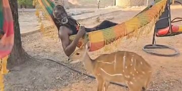 Tiken Jah Fakoly a annoncé le mardi 20 mai 2025 la disparition ou le vol de Bambi Rasta