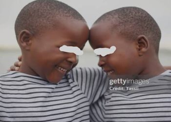 Les jumeaux (wambélé)