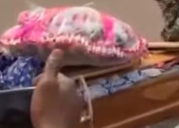 Un accident tragique s’est produit ce mercredi 23 juillet 2025 sur le viaduc de Kintélé, au Congo-Brazzaville