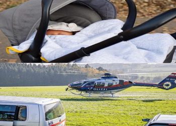 un nourrisson de dix semaines a survécu à une chute vertigineuse