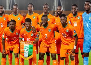 Les éléphants de Côte d’Ivoire