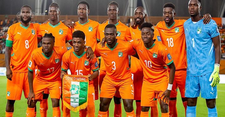 Les éléphants de Côte d’Ivoire