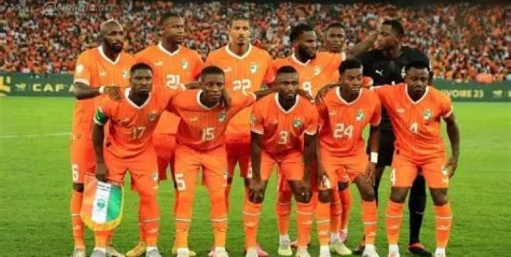 Les Elephants de Côte d’Ivoire