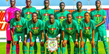 Lionceaux de l’Atlas