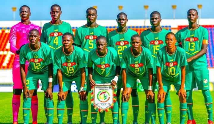 Lionceaux de l’Atlas