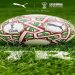 le ballon officiel de la CAN