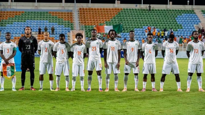 Les Éléphants de Côte d'Ivoire