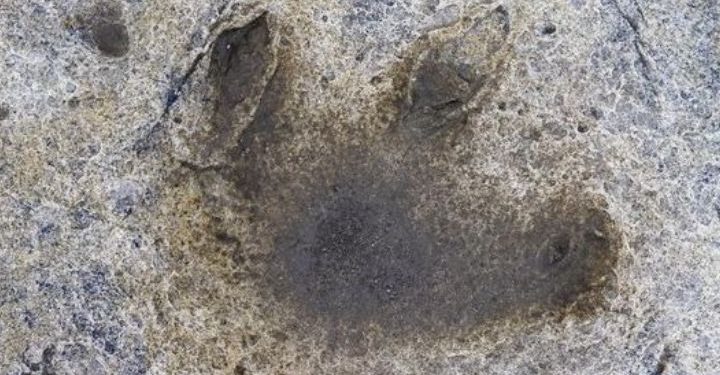 Découverte Immense : Des Empreintes de Dinosaures dans les Alpes Italiennes