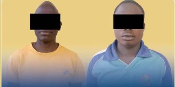 Deux présumés cyberescrocs