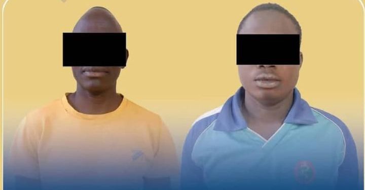 Deux présumés cyberescrocs