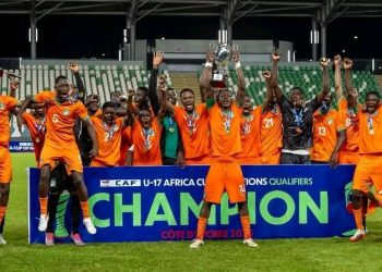 les Éléphants cadets