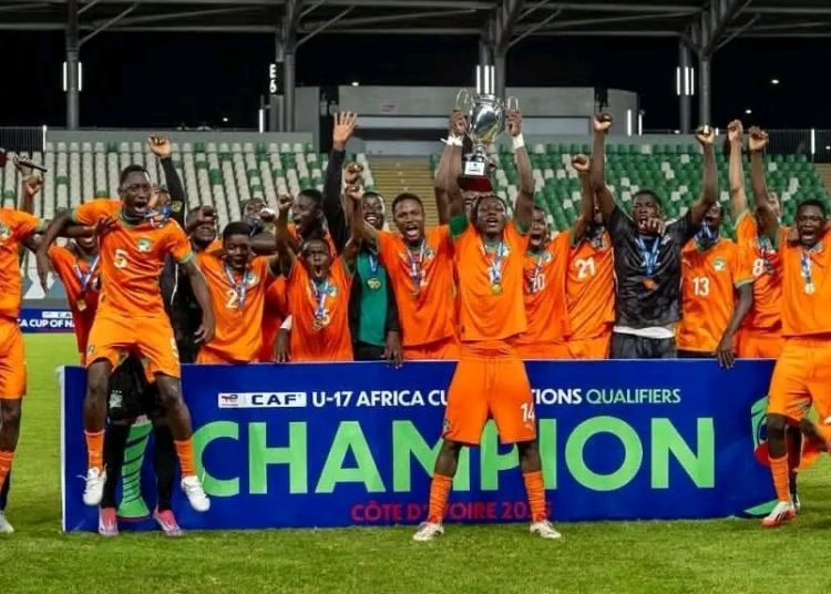 les Éléphants cadets