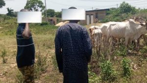 les forces de police du commissariat de circonscription de Niakara ont procédé à l’interpellation de trois individus présumés auteurs d’un important vol